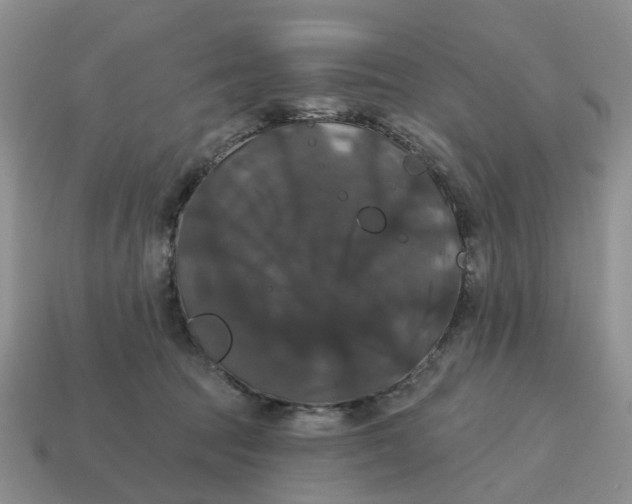 X0000114580369200911091241