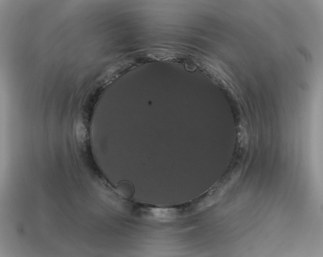 X0000114580371200911091241