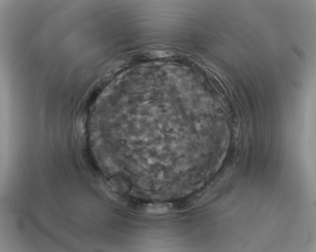 X0000114580373200911091241