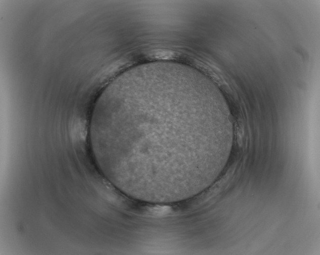 X0000114580374200911091241