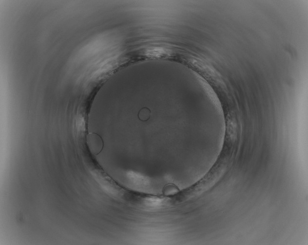 X0000114580375200911091241