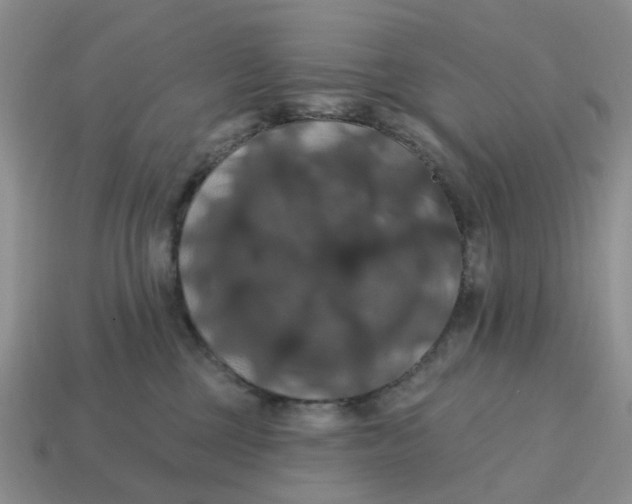 X0000114580377200911091241