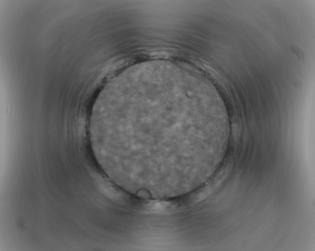 X0000114580379200911091241