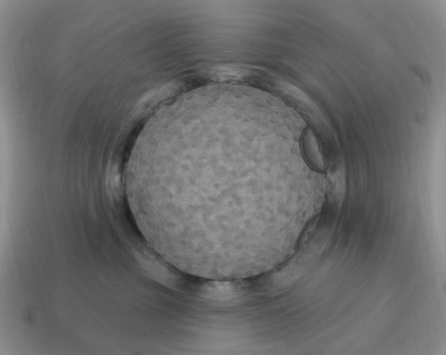 X0000114580381200911091241