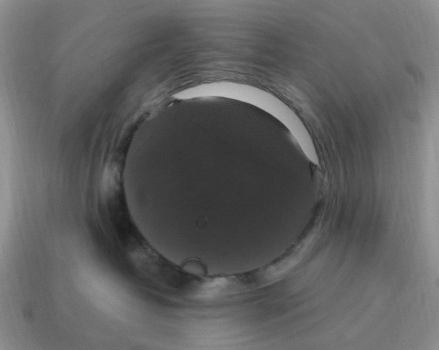 X0000114580382200911091241