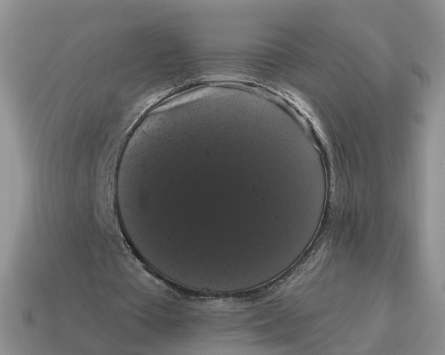 X0000114580385200911091240