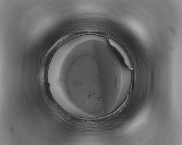 X0000114580387200911091240