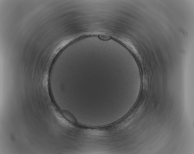 X0000114580389200911091240