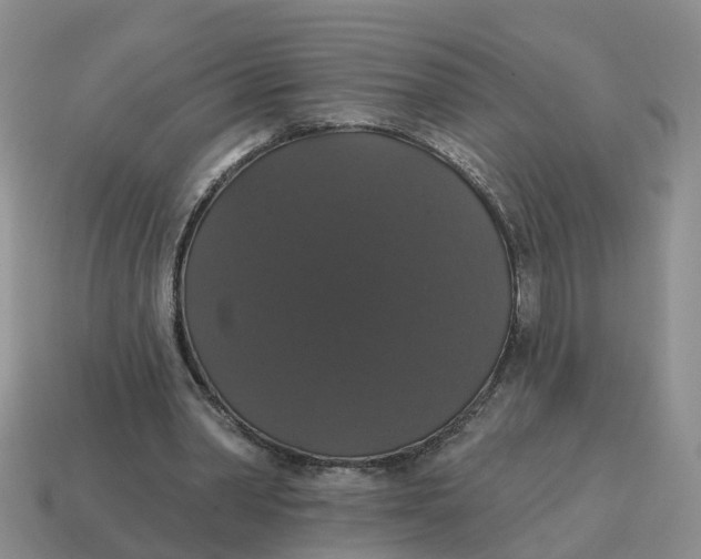 X0000114580390200911091240