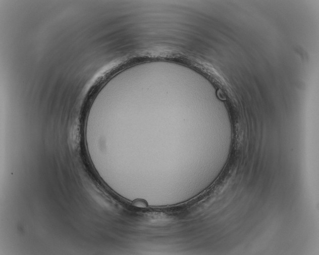 X0000114580392200911091240