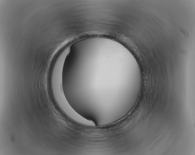 X0000114580395200911091240