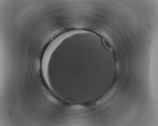 X0000114580397200911091240