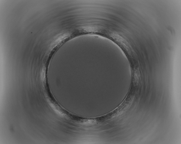 X0000114580398200911091240