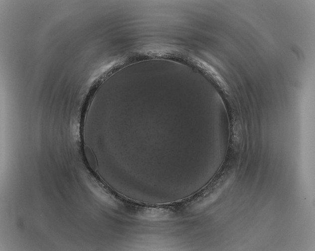 X0000114580399200911091240