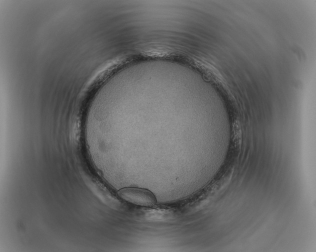 X0000114580400200911091240