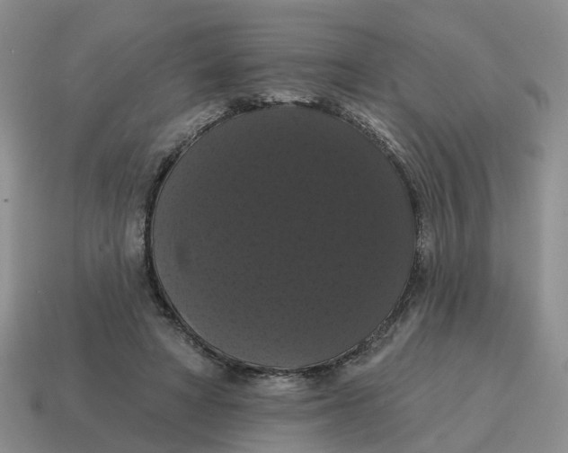 X0000114580402200911091240