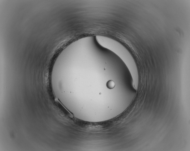 X0000114580403200911091240