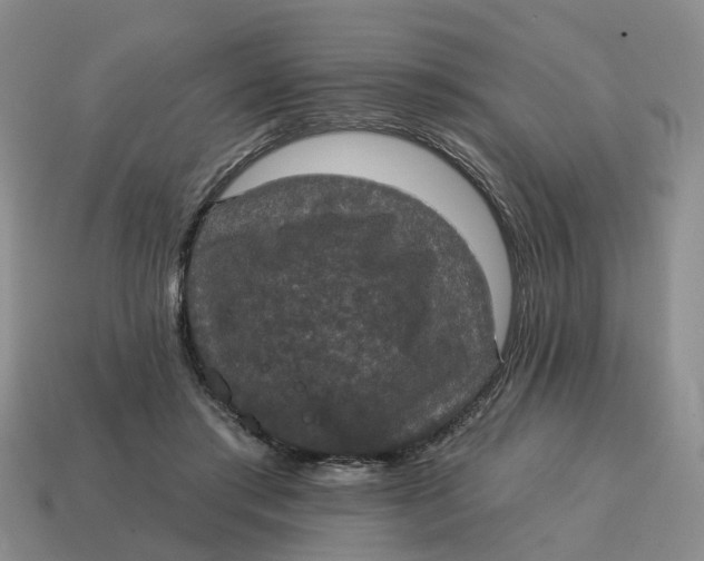 X0000114580405200911091240