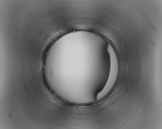 X0000114580407200911091240