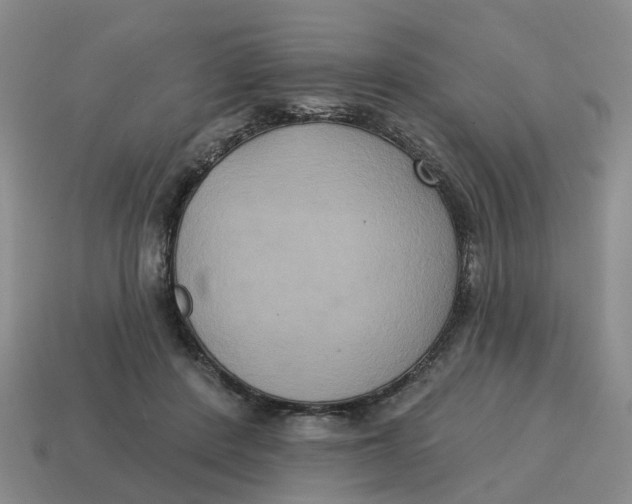 X0000114580408200911091240