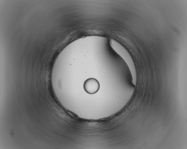 X0000114580409200911091240