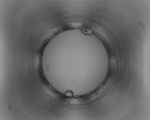 X0000114580412200911091240