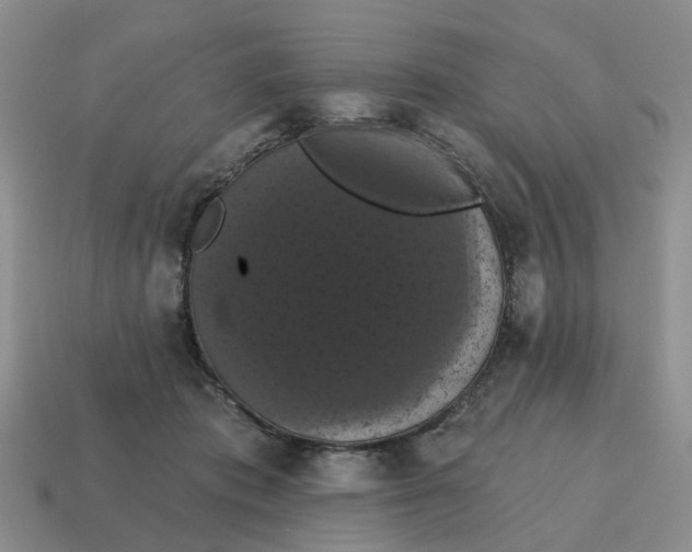 X0000114580413200911091240