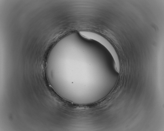 X0000114580415200911091240