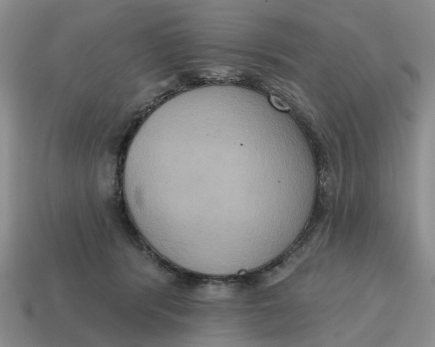 X0000114580416200911091240