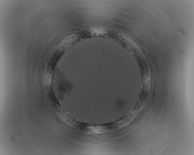 X0000114580417200911091240