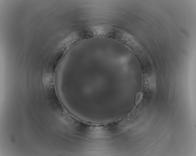 X0000114580419200911091240