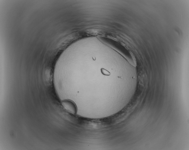 X0000114580420200911091240