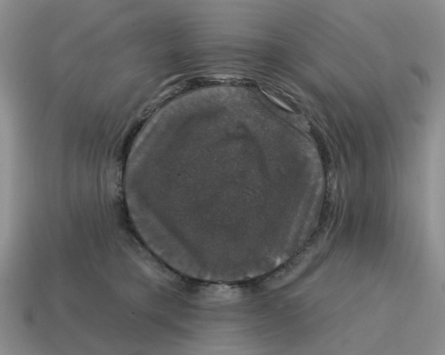 X0000114580421200911091240