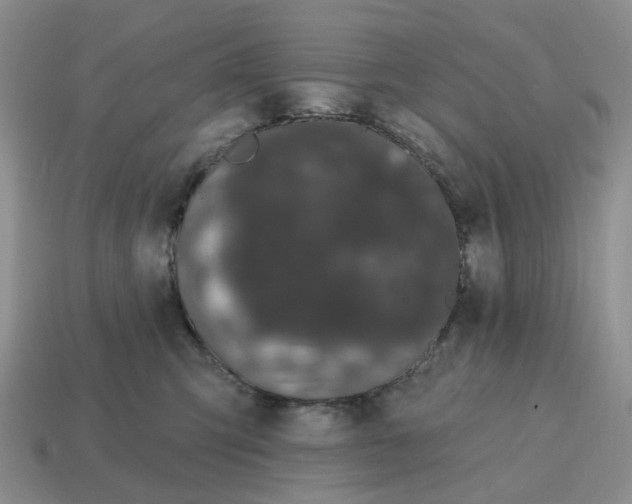 X0000114580423200911091240