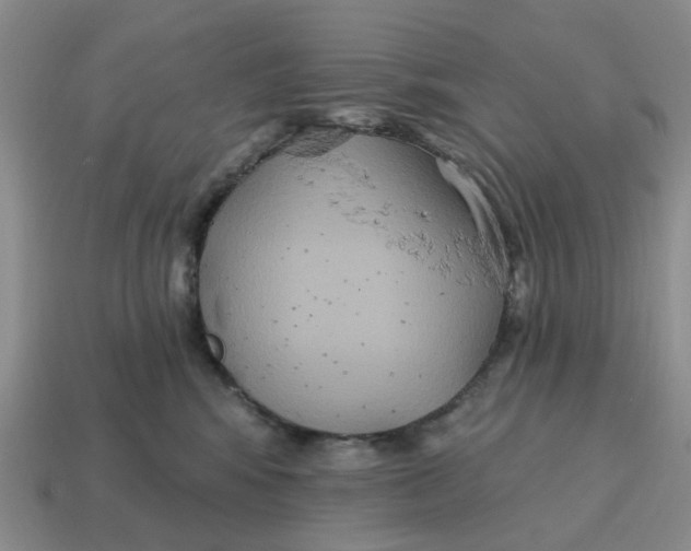 X0000114580424200911091240