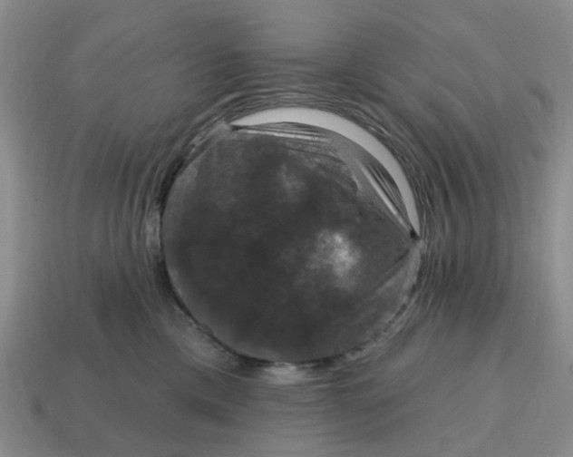 X0000114580425200911091240