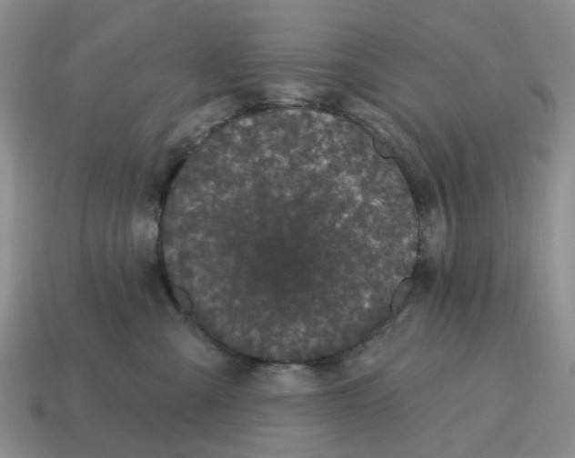 X0000114580427200911091240