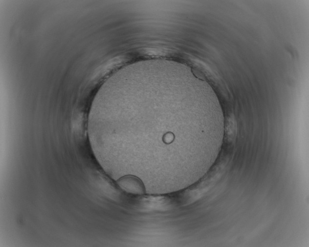 X0000114580428200911091240