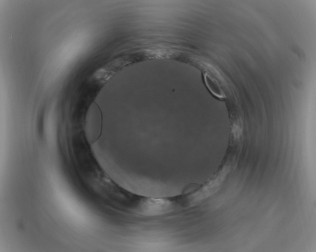 X0000114580429200911091240