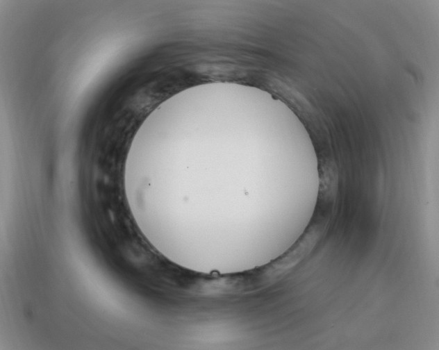 X0000114580430200911091240