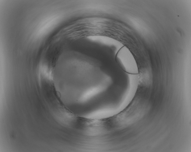 X0000114580431200911091240