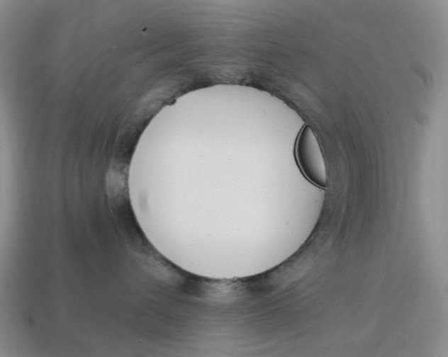 X0000114580432200911091240