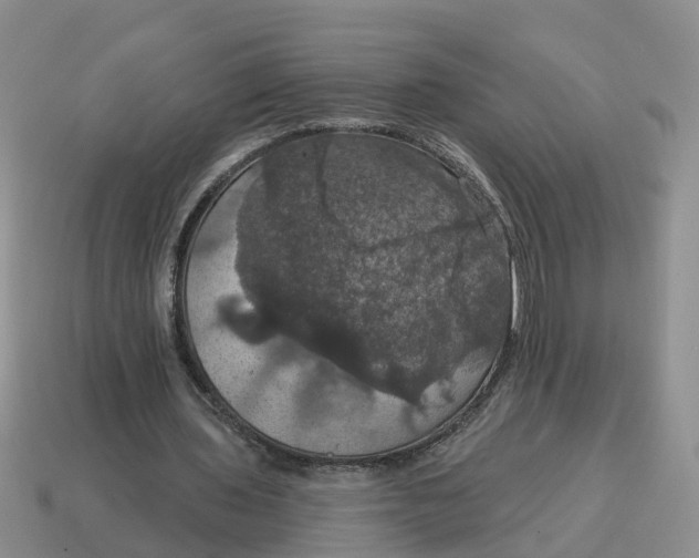 X0000114580435200911091239