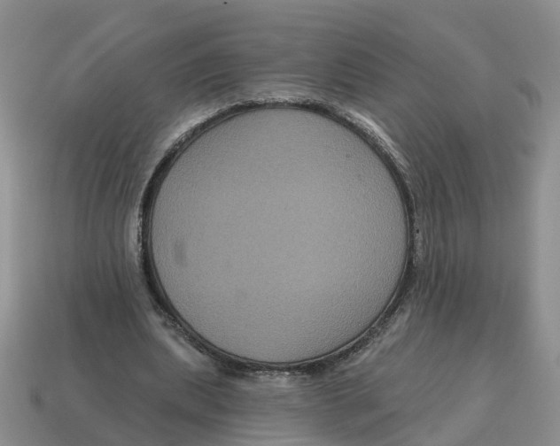 X0000114580439200911091239