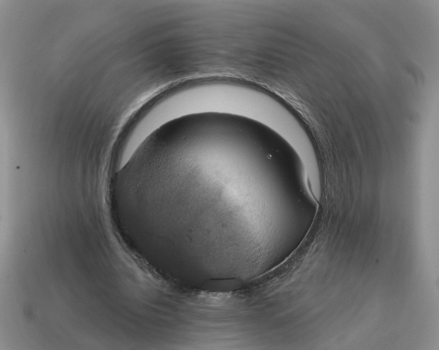 X0000114580440200911091239