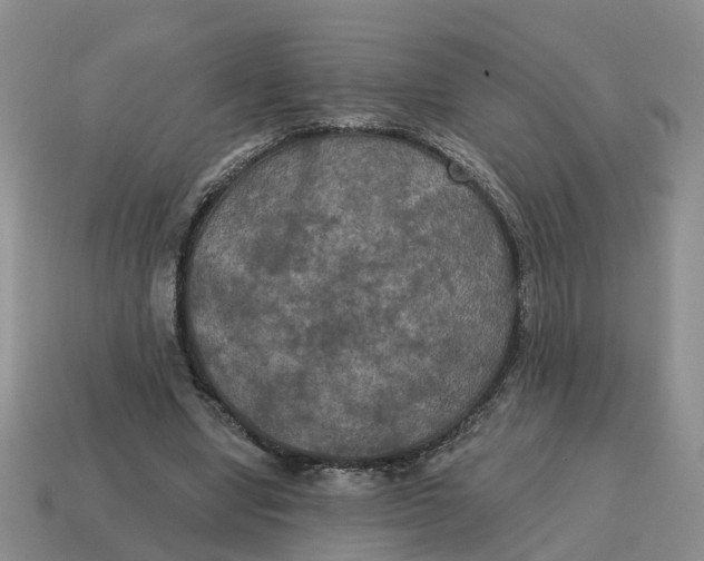 X0000114580442200911091239