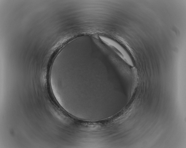 X0000114580443200911091239