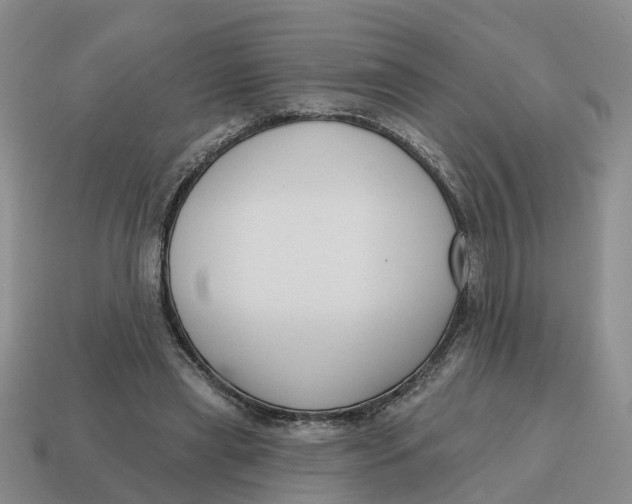 X0000114580445200911091239