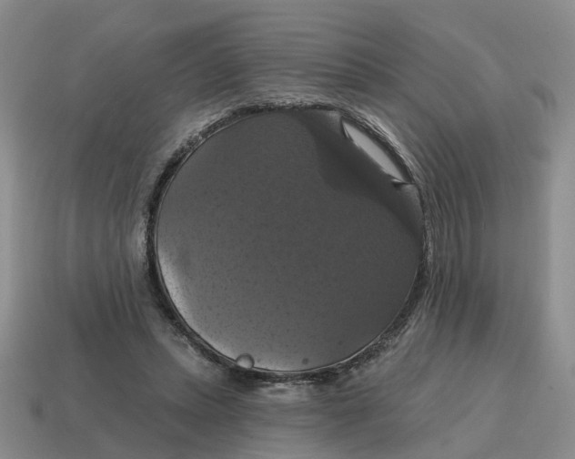 X0000114580447200911091239