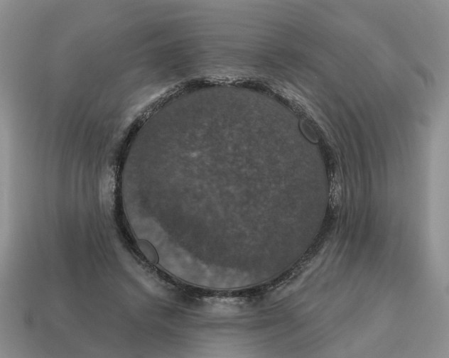 X0000114580448200911091239